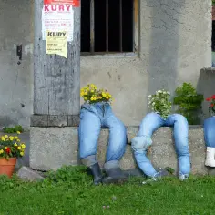 Jak zrobić kwietnik z jeansów: 7 prostych kroków DIY