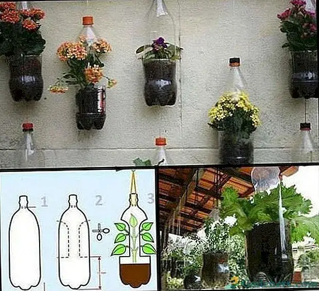 Zdjęcie Kreatywny kwietnik z plastikowych butelek. Tani i ekologiczny sposób na ogród